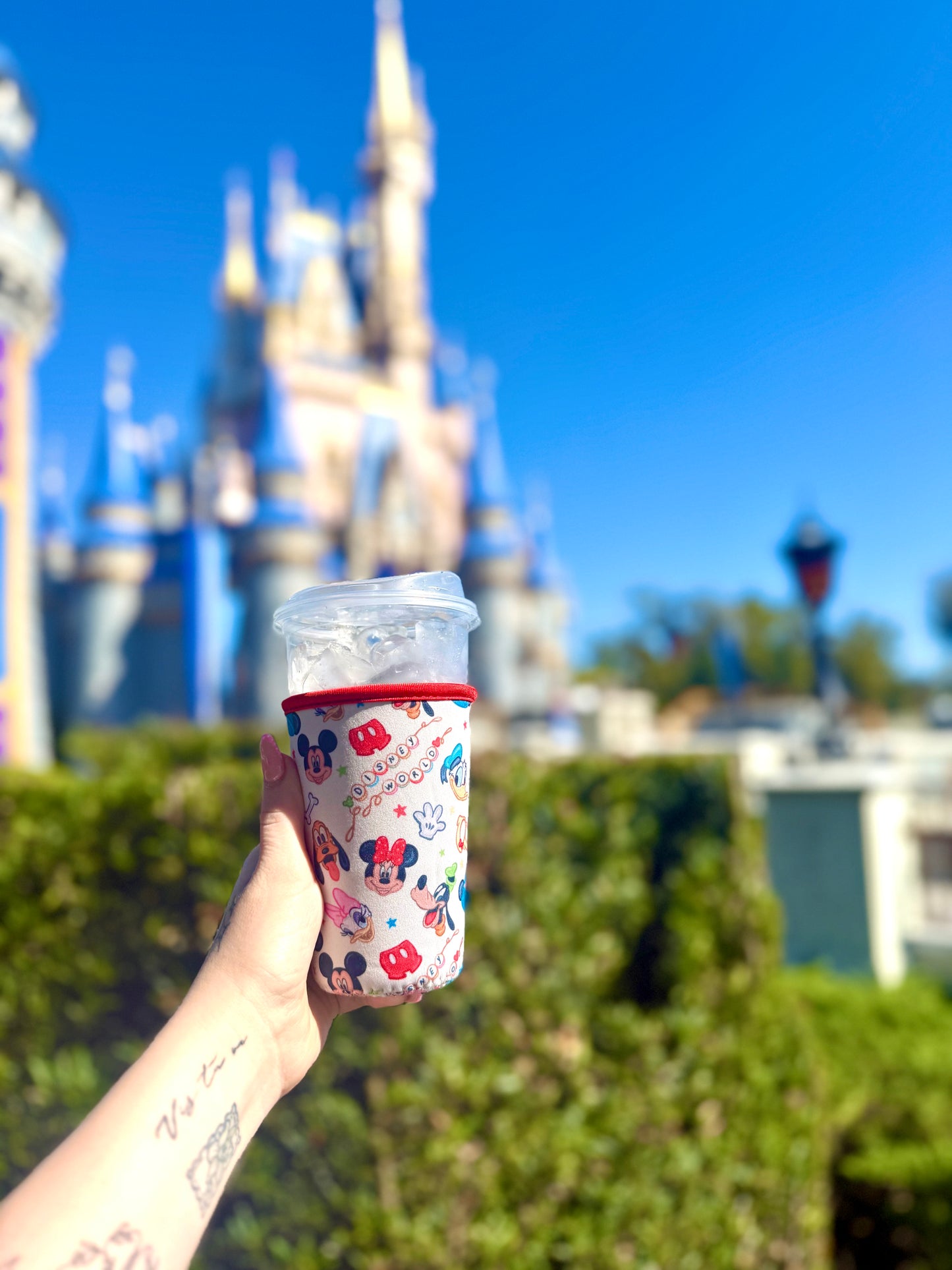 Mickey Medium Sleeve