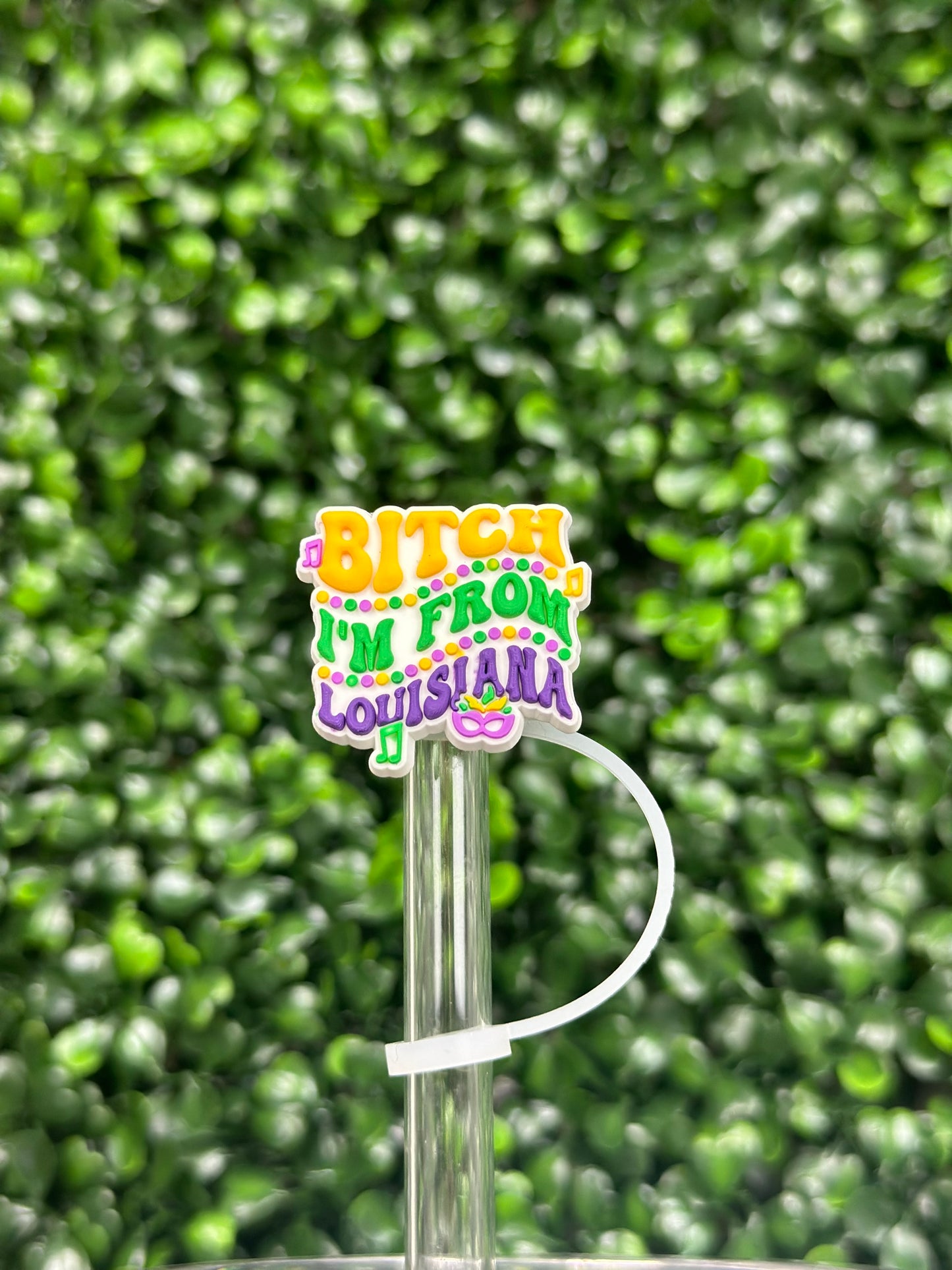 I’m From Louisiana Straw Topper (Pre-Order ETA beginning of January)
