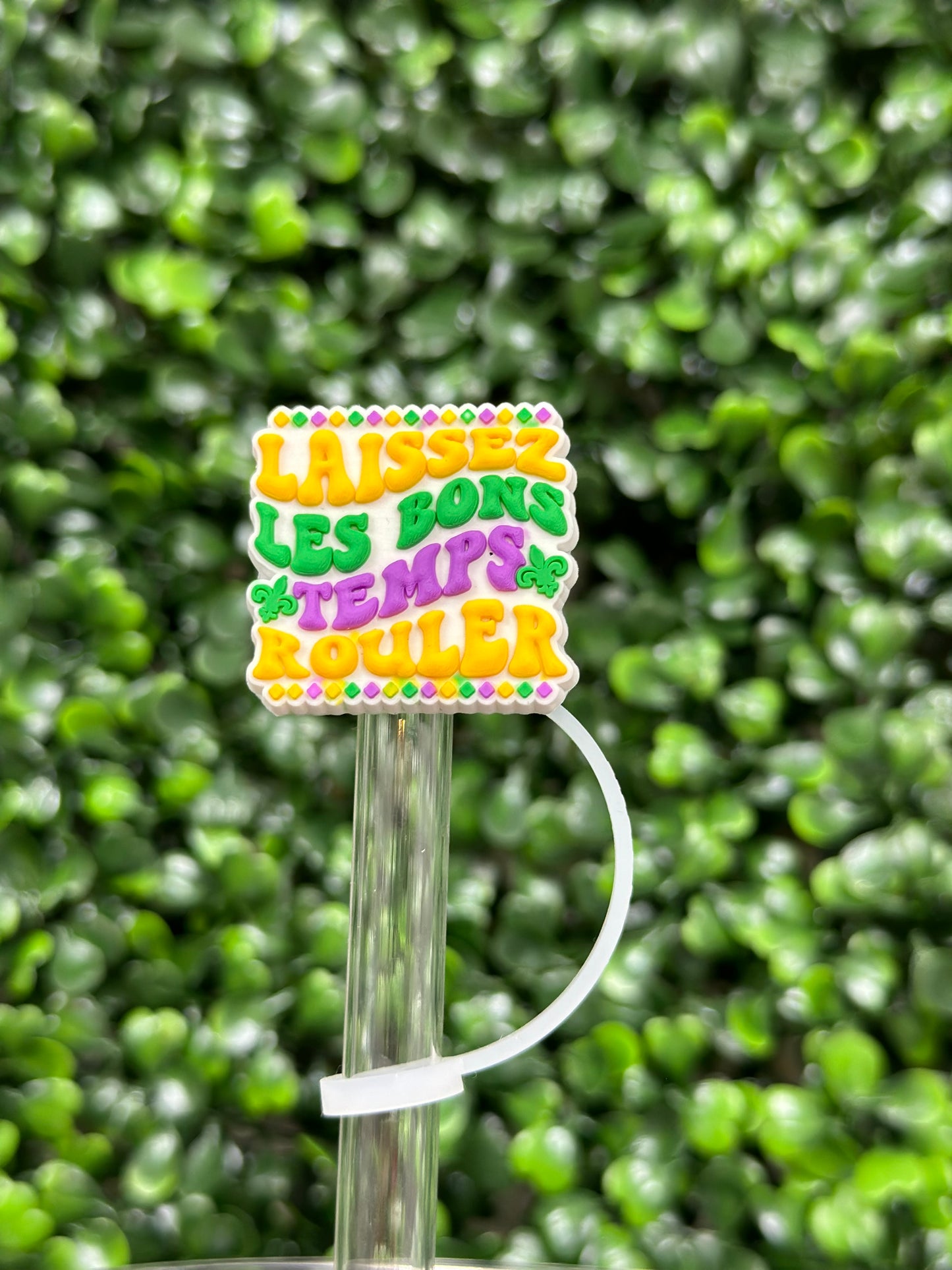 Laissez Les Bons Temps Rouler Straw Topper (Pre-Order ETA beginning of January)