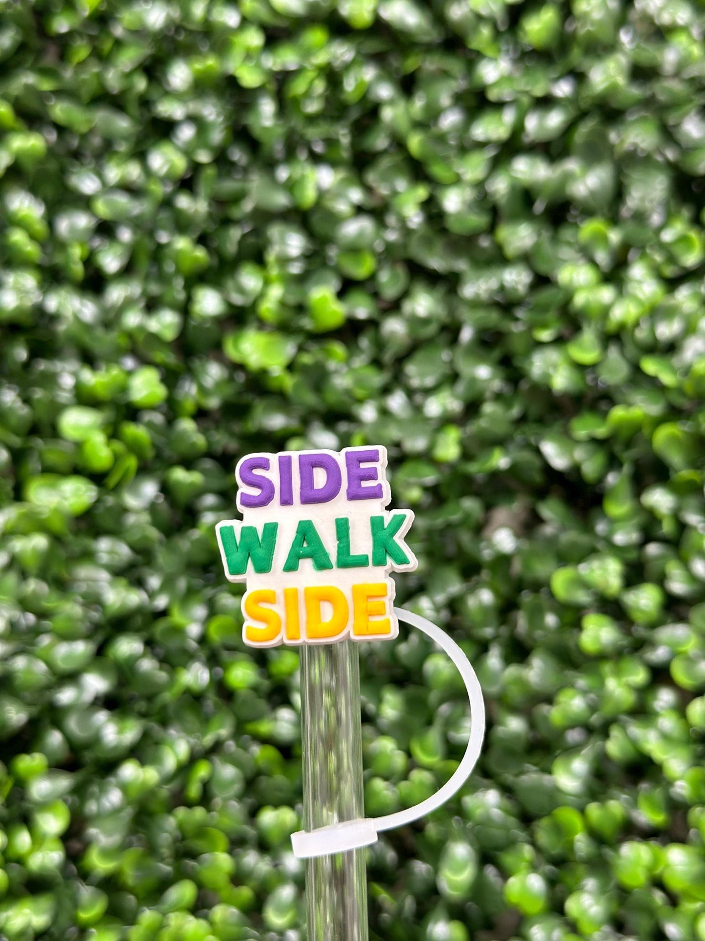 Side Walk Side Mardi Gras Straw Topper